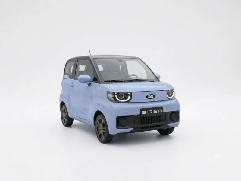 Birba - Punto Auto