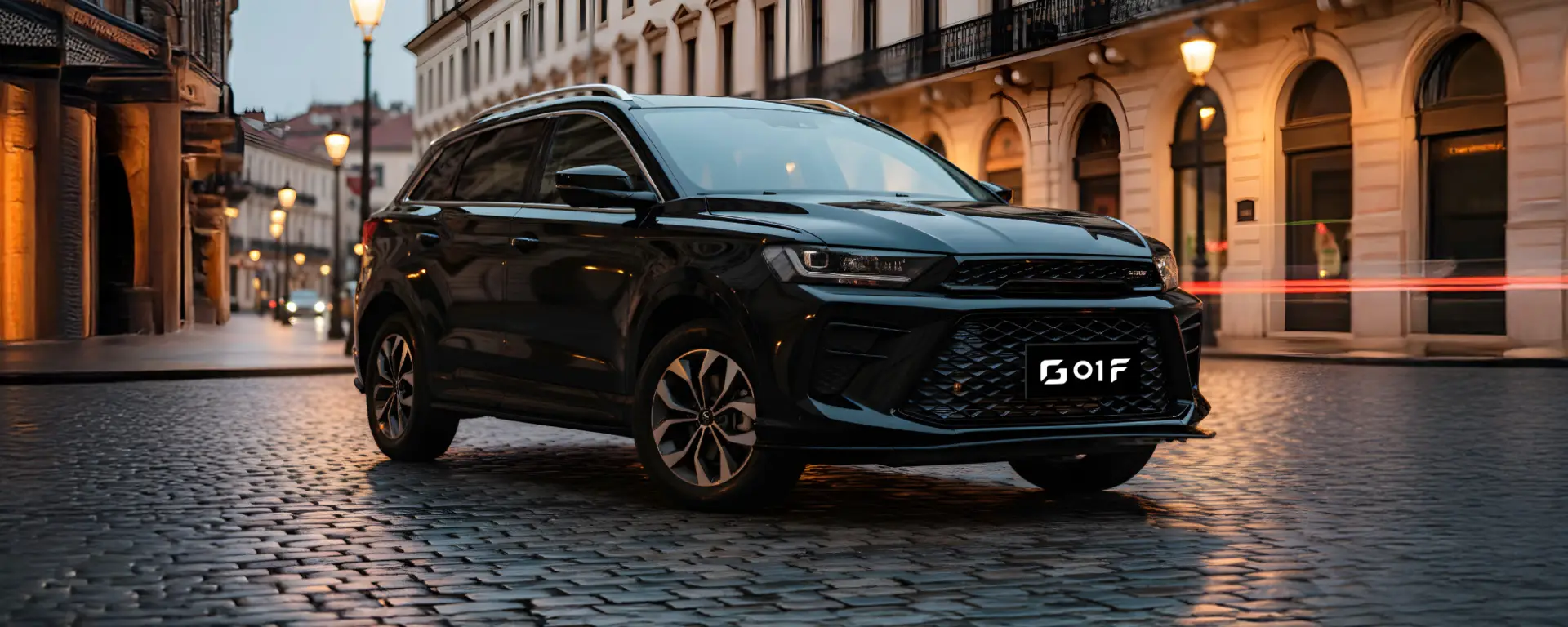 SWN G01 - Punto Auto