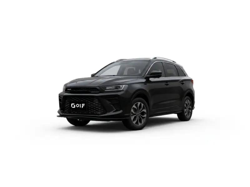 SWN G01 - Punto Auto