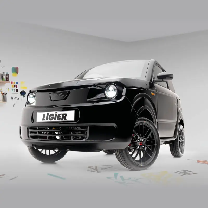 Ligier Mily - Punto Auto